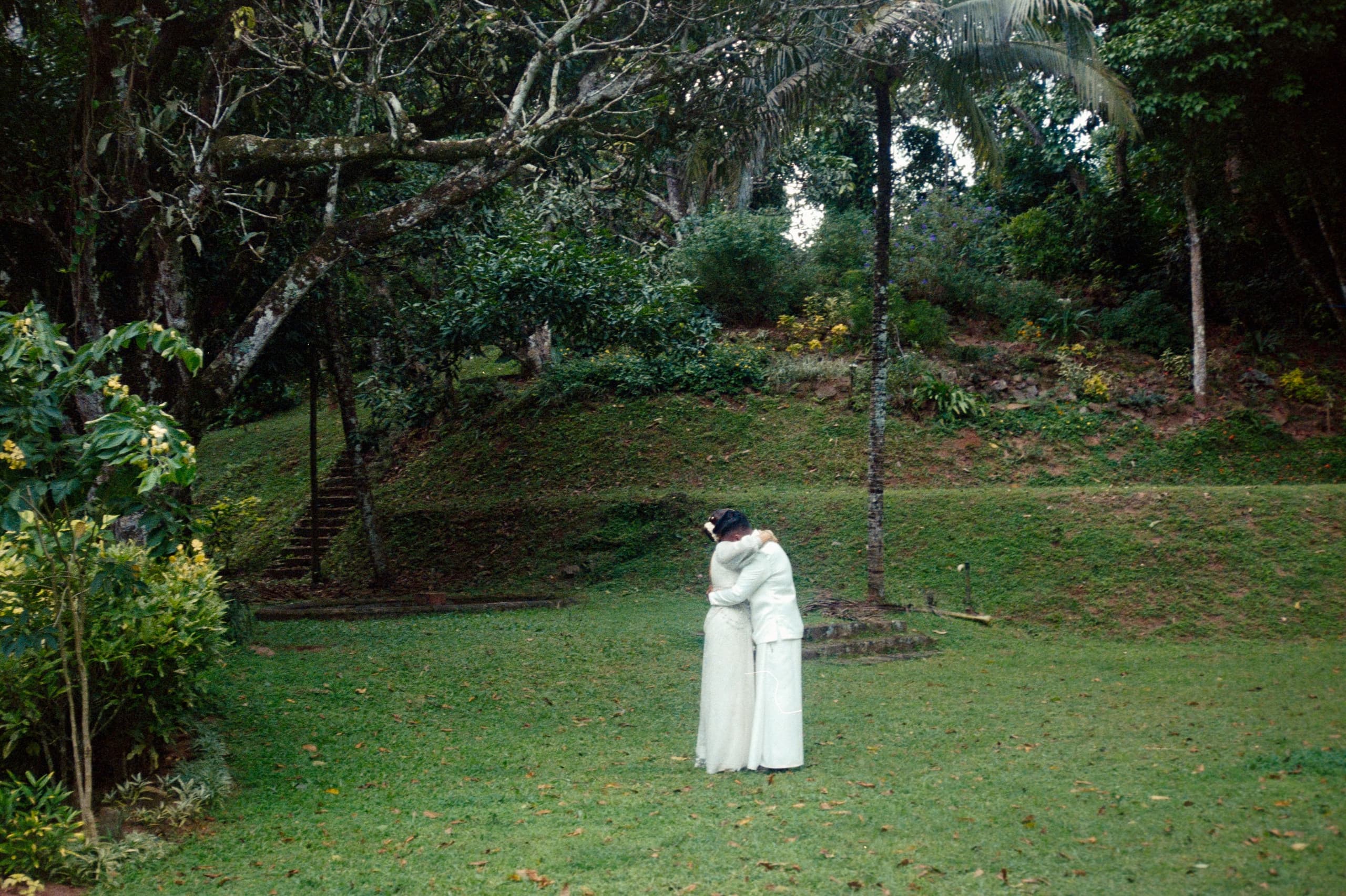 A couple embracing on the lawn among old trees